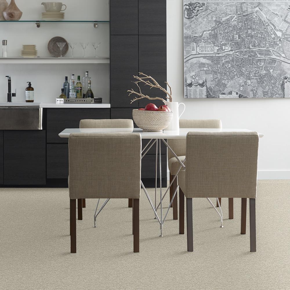 STAINMASTER PetProtect Baxter III Marmaduke Textured Indoor Carpet - 12-ft Roll Width - Image 3
