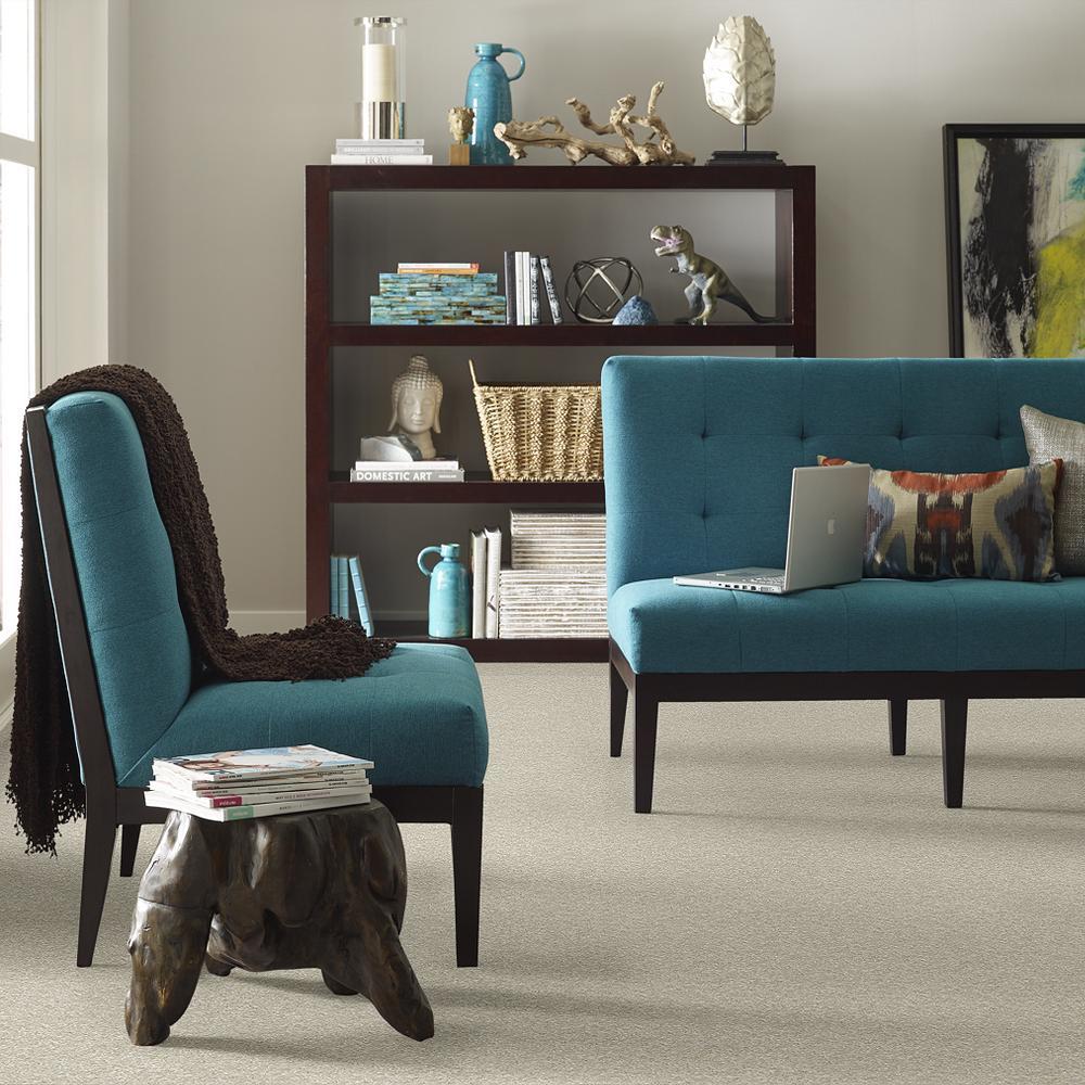 STAINMASTER PetProtect Baxter III Marmaduke Textured Indoor Carpet - 12-ft Roll Width - Image 4