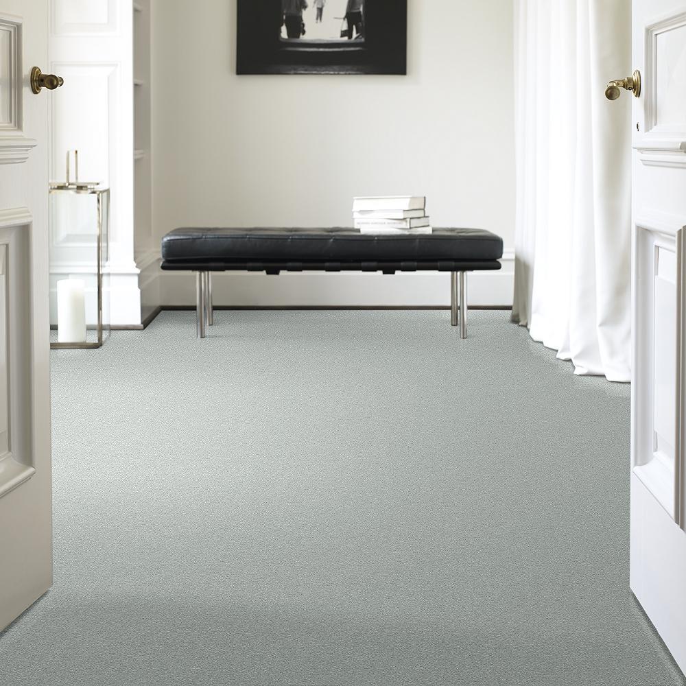 STAINMASTER PetProtect Baxter III Rex Textured Indoor Carpet, 12-ft Roll Width - Image 2