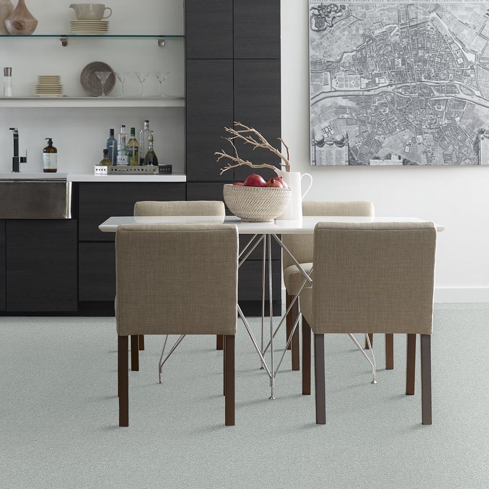 STAINMASTER PetProtect Baxter III Rex Textured Indoor Carpet, 12-ft Roll Width - Image 3