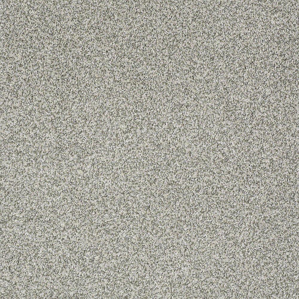 STAINMASTER PetProtect Baxter III Trixie 12-ft Textured Indoor Carpet