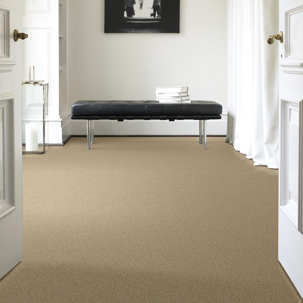 STAINMASTER PetProtect Baxter IV Boxer Textured Carpet (Indoor, 12-ft Roll Width) - Image 2