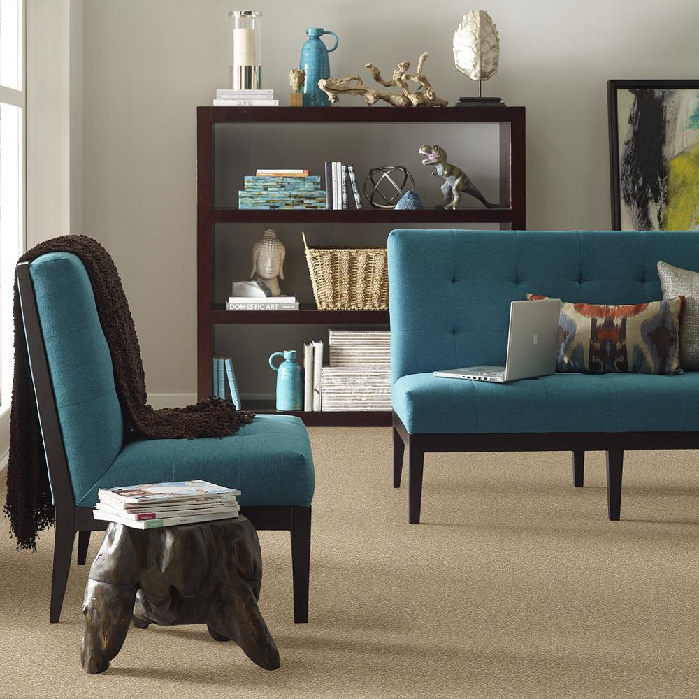 STAINMASTER PetProtect Baxter IV Boxer Textured Carpet (Indoor, 12-ft Roll Width) - Image 4