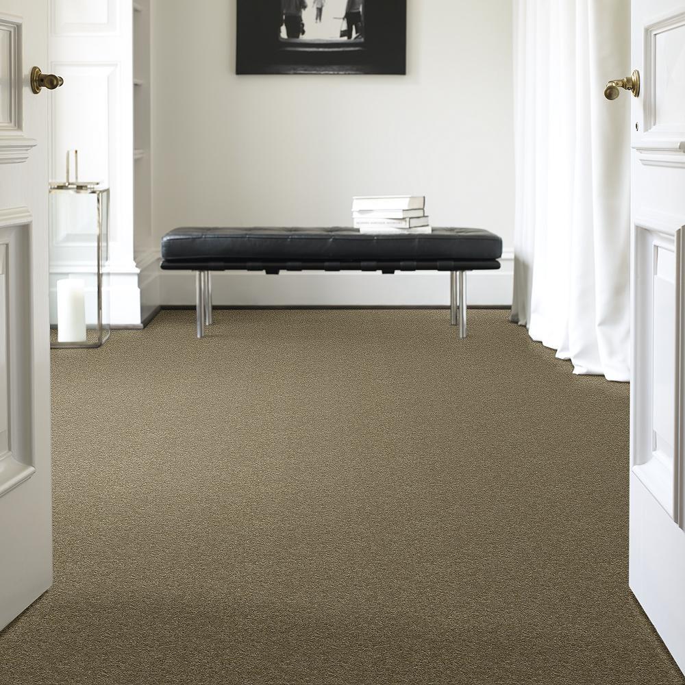 STAINMASTER PetProtect Baxter IV Dachshund Textured Carpet (Indoor, 12-ft Roll Width) - Image 2
