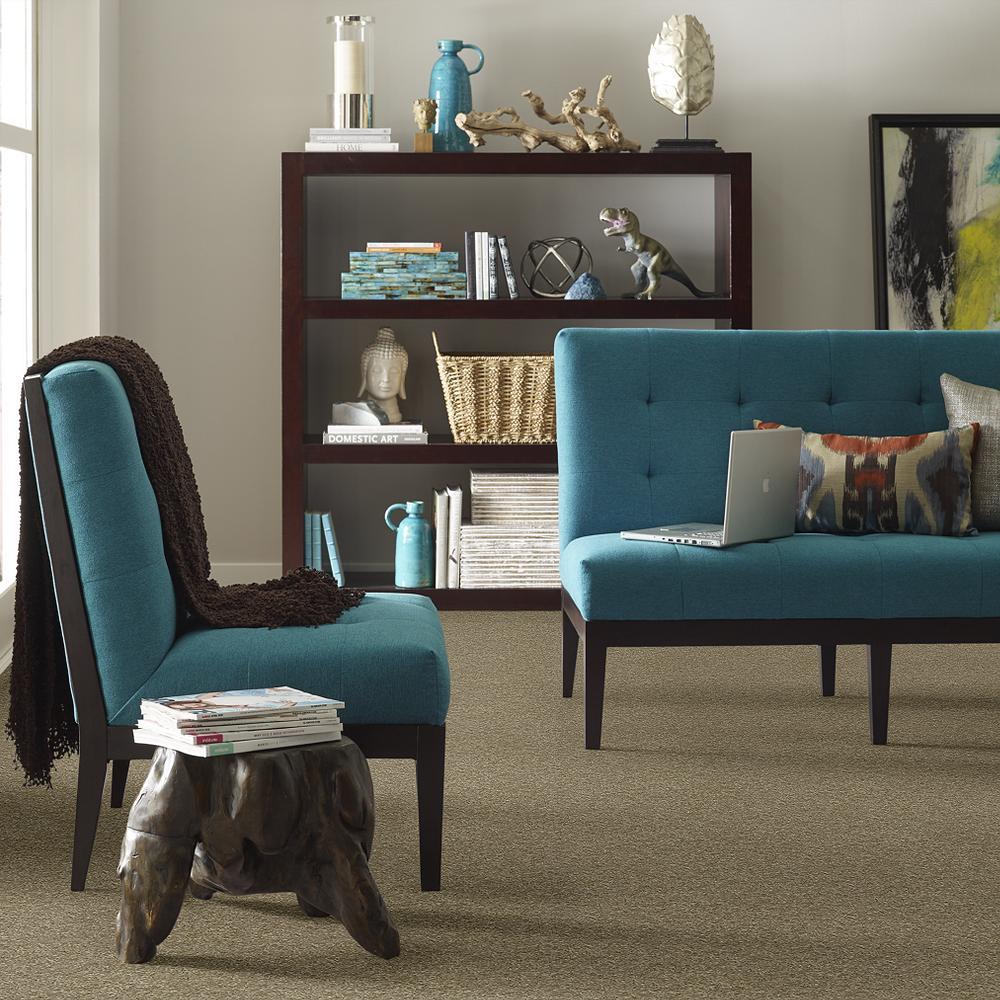 STAINMASTER PetProtect Baxter IV Dachshund Textured Carpet (Indoor, 12-ft Roll Width) - Image 4