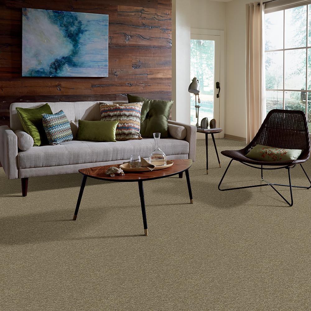 STAINMASTER PetProtect Baxter IV Dachshund Textured Carpet (Indoor, 12-ft Roll Width) - Image 5