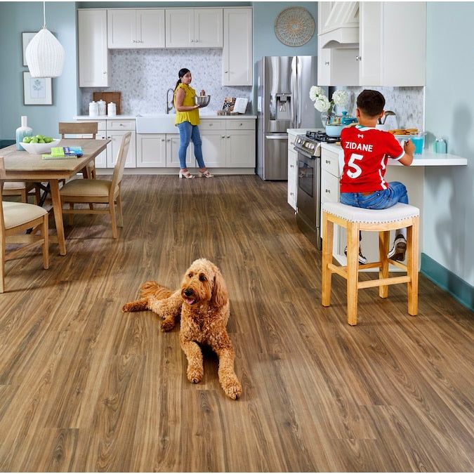 STAINMASTER PetProtect Bittersweet Hickory 12-mm T x 7-1/2-in W x 50-in L Waterproof Wood Plank Laminate Flooring (23.69-sq ft / Carton) - Image 6
