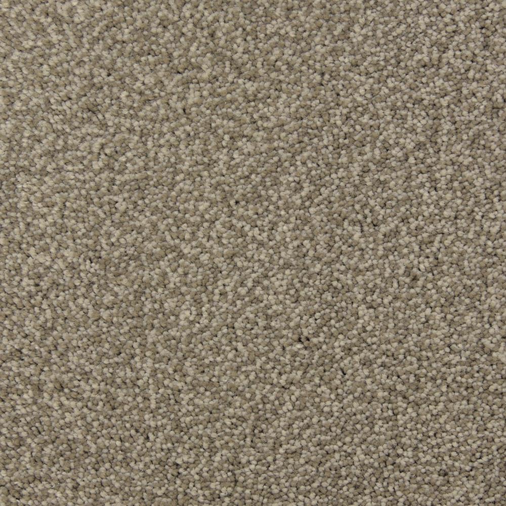 STAINMASTER PetProtect Magnetic Limestone Textured Carpet Sample (Interior)