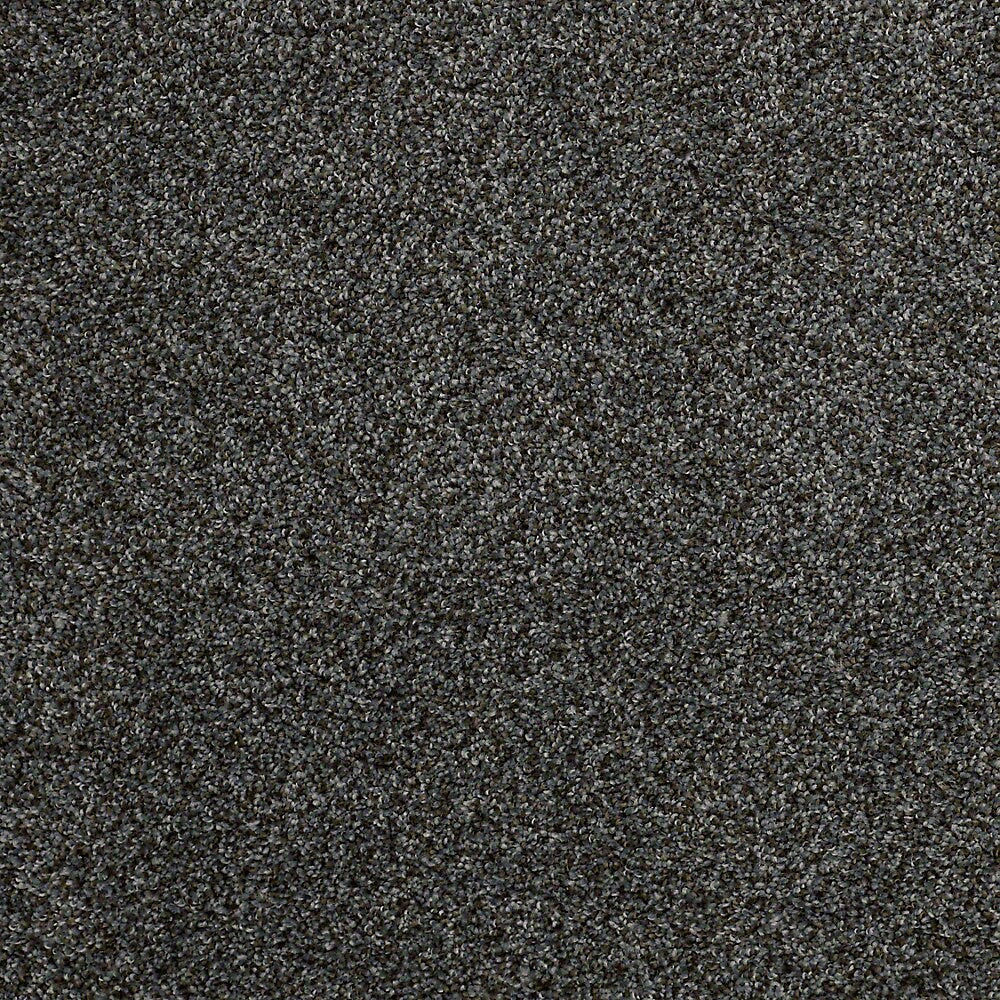 STAINMASTER PetProtect Mineral Bay I 12-ft Inlet Textured Carpet Sample (Interior)