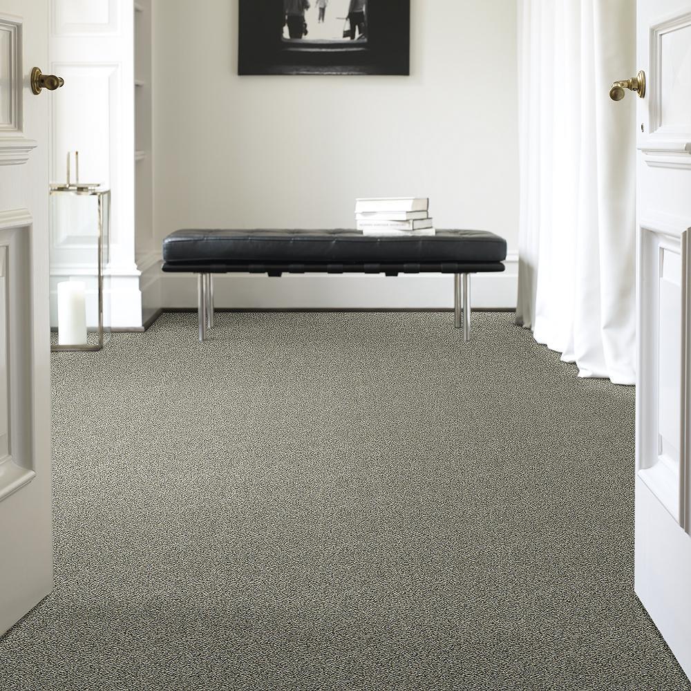 STAINMASTER PetProtect Mineral Bay I 12-ft Tidal Wave Textured Carpet Sample (Interior) - Image 2