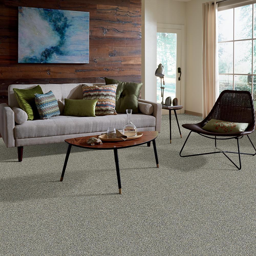 STAINMASTER PetProtect Mineral Bay I 12-ft Tidal Wave Textured Carpet Sample (Interior) - Image 5