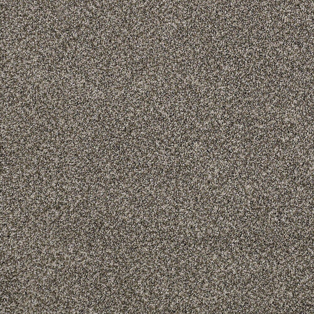 STAINMASTER PetProtect Mineral Bay II 12-ft Pelican Textured Carpet Sample (Interior)