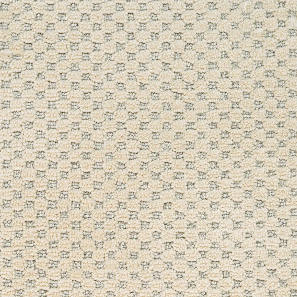 STAINMASTER PetProtect Natural Essence Old Stone Pattern Carpet Sample (Interior, 8-in x 8-in)