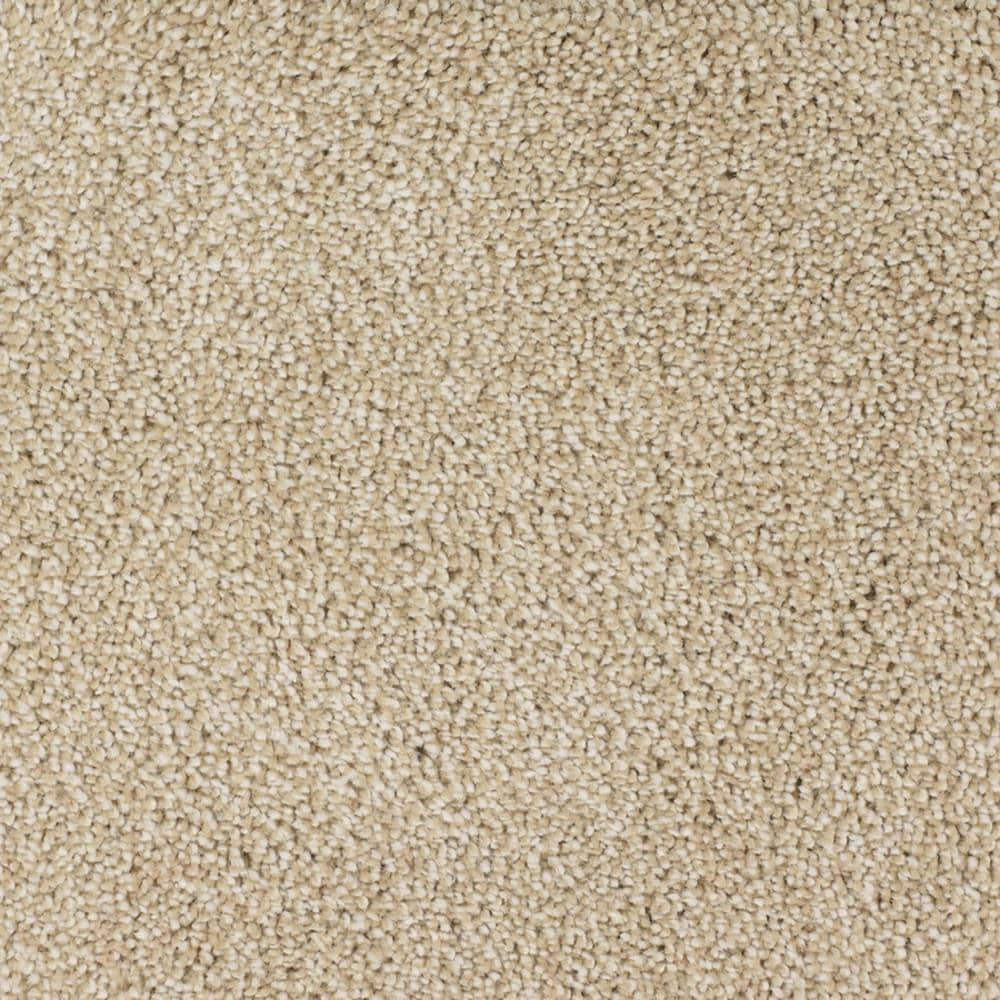 STAINMASTER Signature Briar Patch Canvas Textured Indoor Carpet, 12-ft Roll Width, 46-oz Face Weight