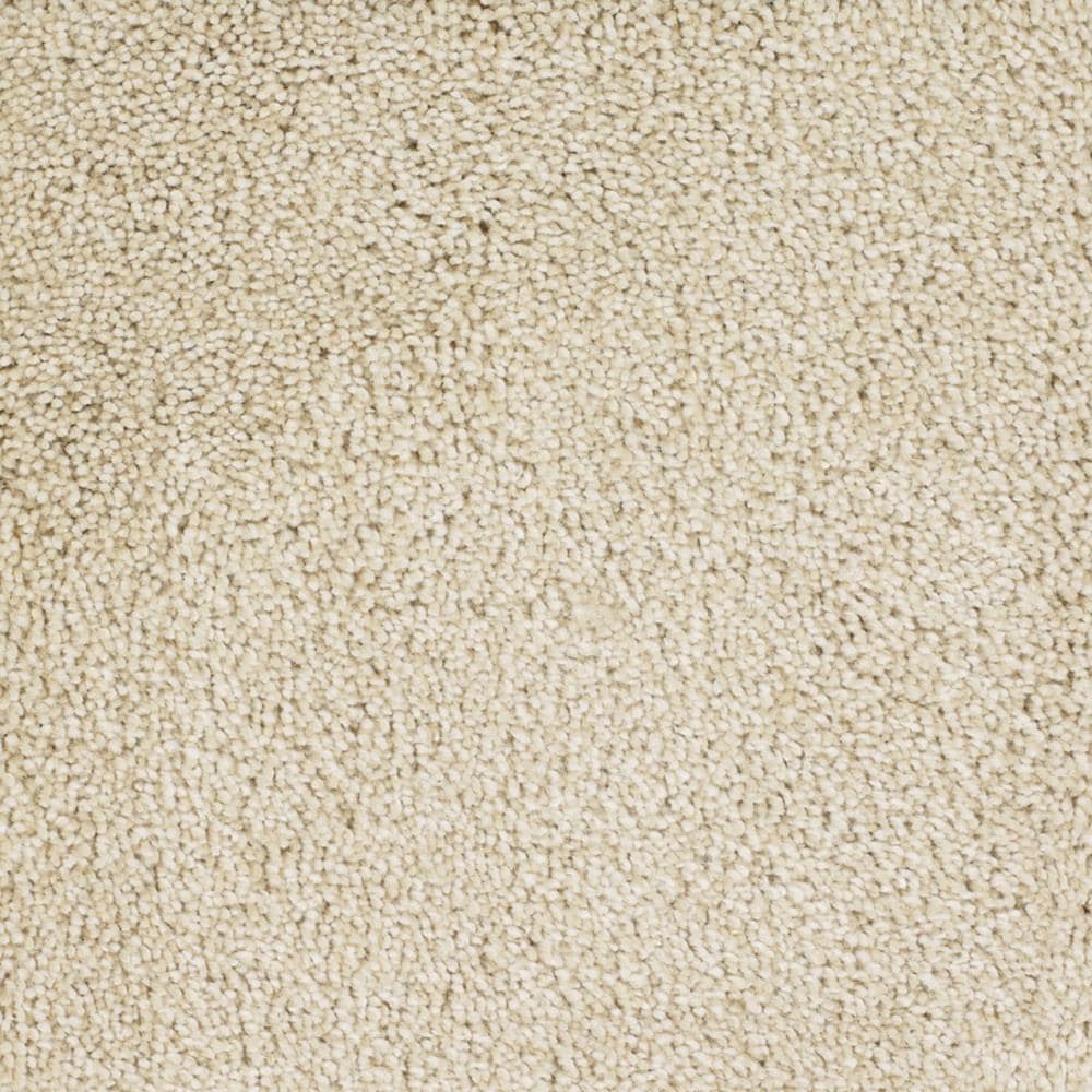 STAINMASTER Signature Briar Patch Tranquil Textured Carpet Sample (Interior)