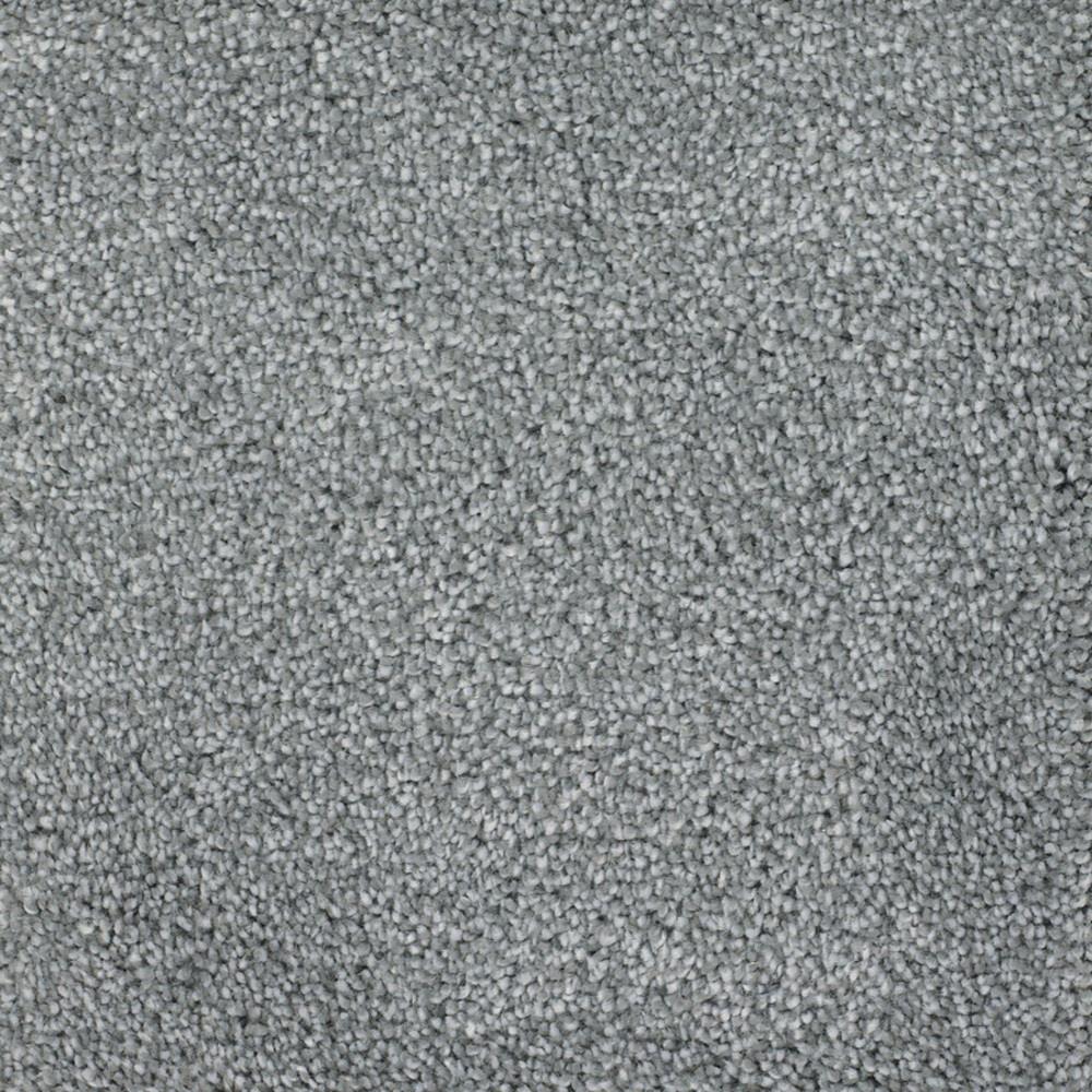 STAINMASTER Signature Briar Patch Weathered Textured Carpet Sample (Interior)