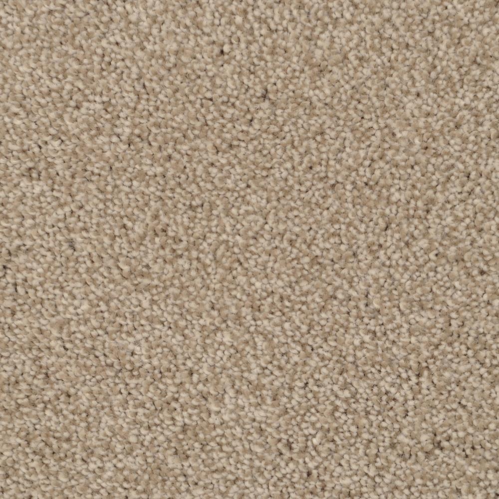 STAINMASTER Signature Briar Patch Zumba Textured Carpet Sample (Interior)