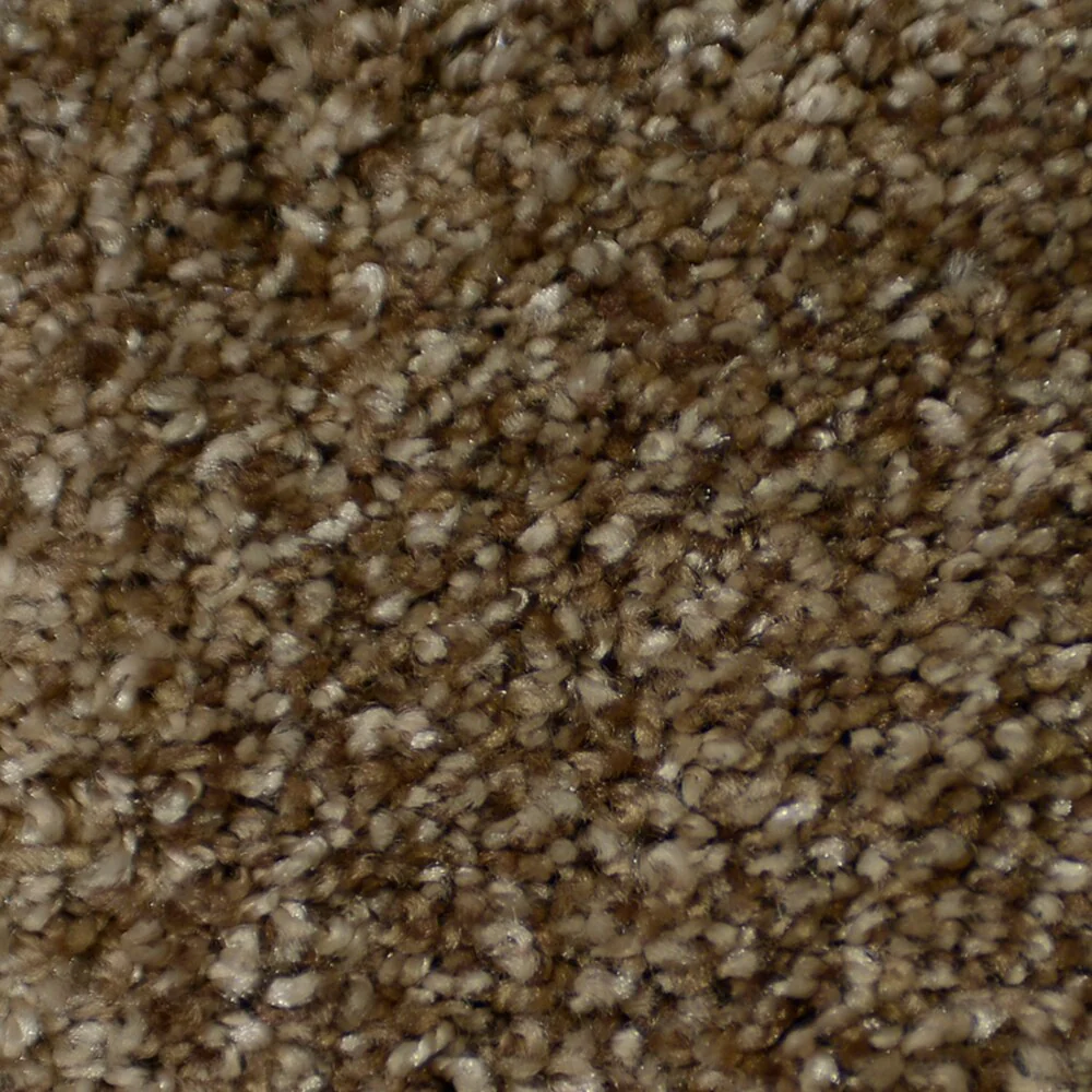 STAINMASTER Signature Documentary Montage Textured Carpet Sample (Interior) - 8 in x 8 in