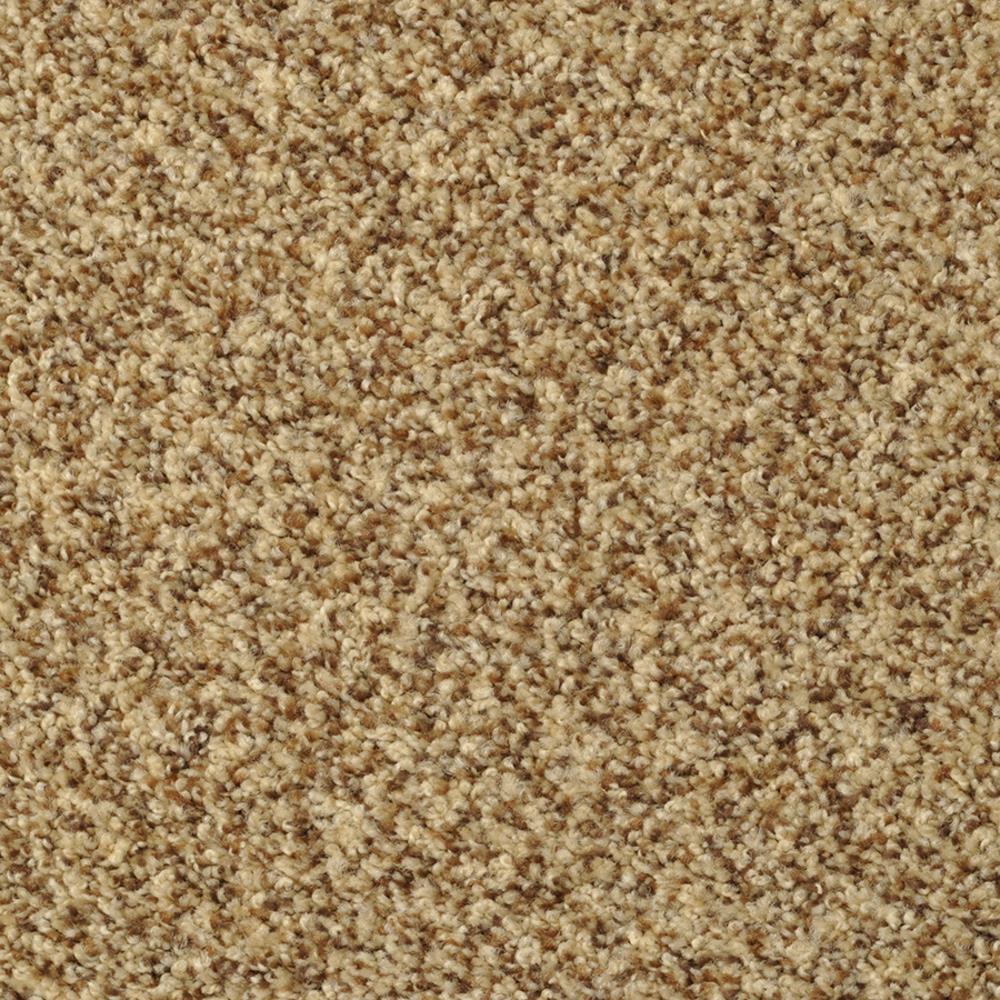 STAINMASTER Signature Documentary Tuscany Textured Carpet Sample (Interior)