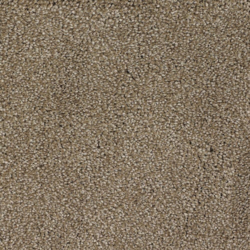 STAINMASTER Signature Shafer Valley Donner Textured Indoor Carpet, 12-ft Roll Width