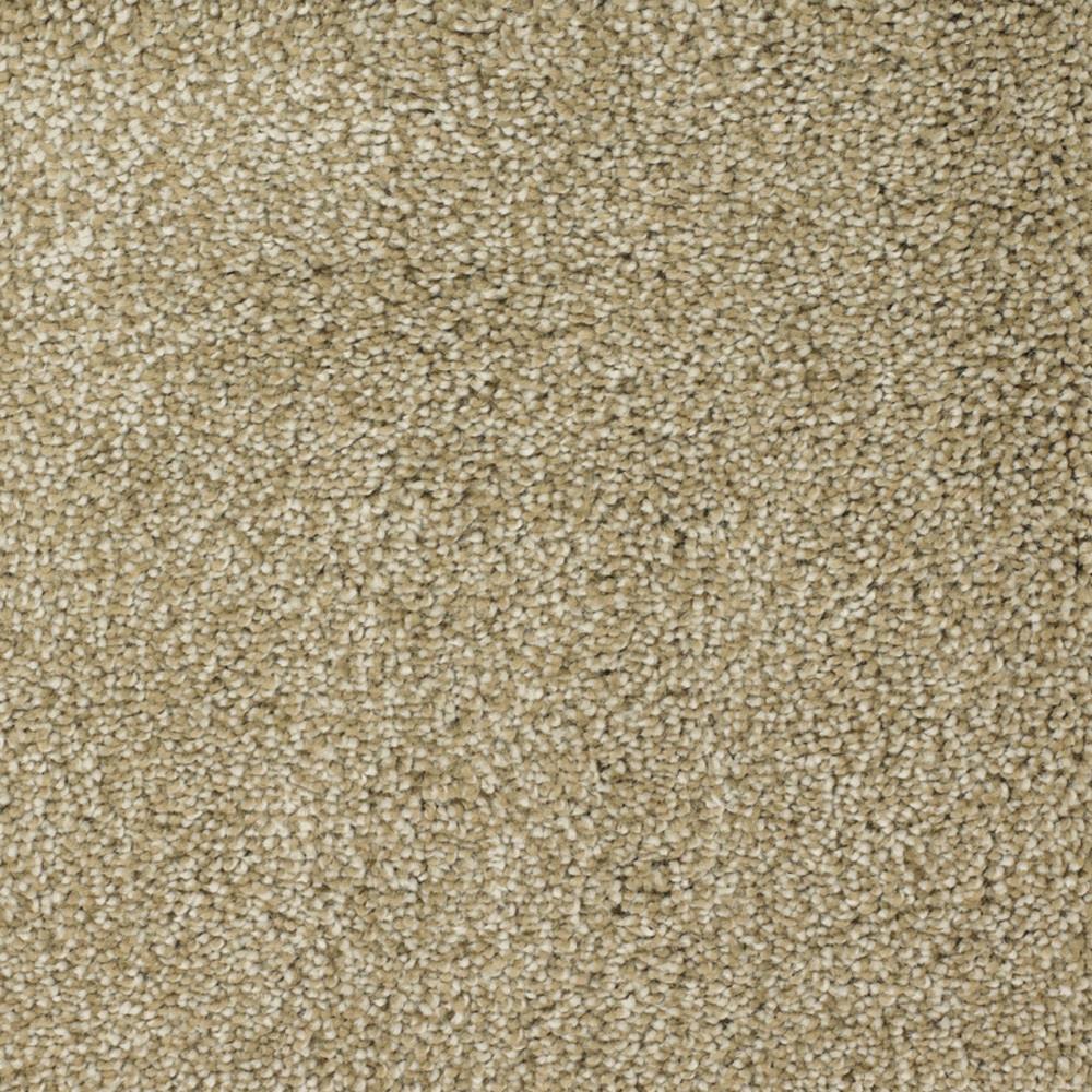 STAINMASTER Signature Shafer Valley Weathered Textured Carpet Sample (Interior) 8-in x 8-in