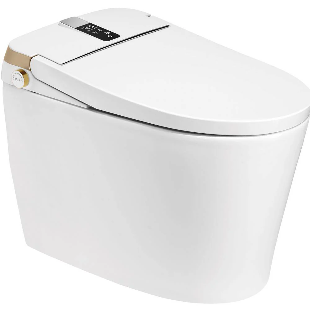 Staykiwi Elongated Bidet Toilet 1.28 GPF in White with Adjustable Sprayer Settings, Deodorizing, Soft Close - Image 9
