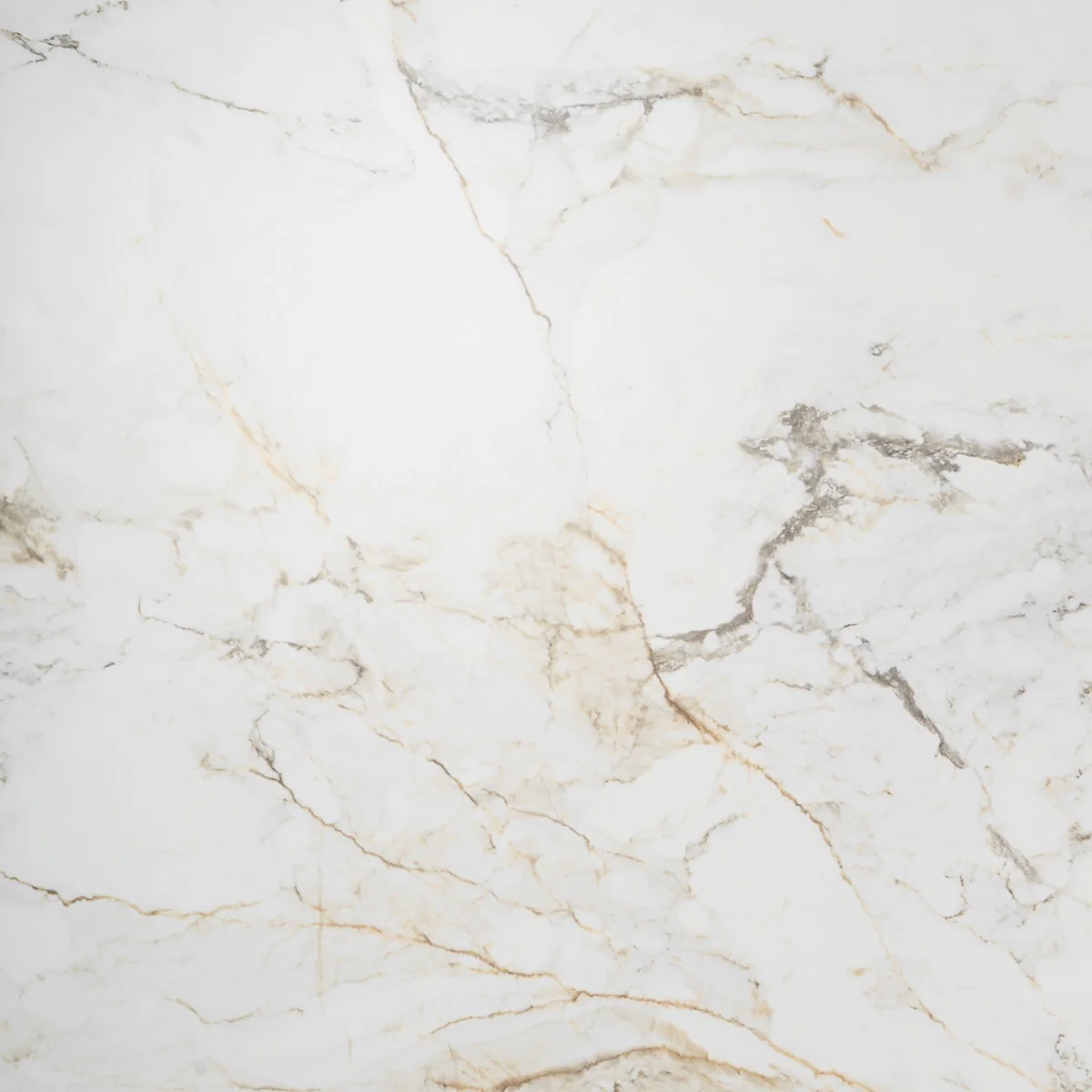 Tilebar Calacatta Macchia White Gold 48x48 Marble Look Matte Porcelain Tile - Image 2
