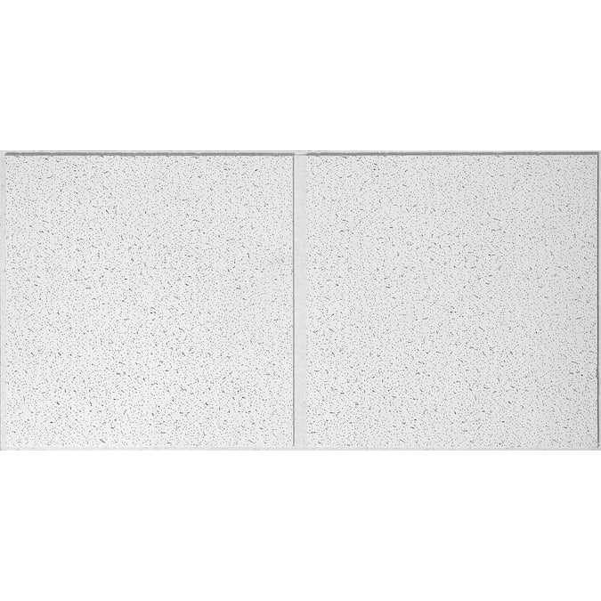 USG Ceilings 4-ft x 2-ft White Mineral Fiber Drop Ceiling Tile (4-Pack, 32-sq ft / Case)